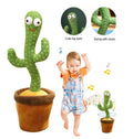 Cactus Ballerino