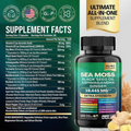 Combo di 3 Unità del Integratore Naturale 8 in 1 - Sea Moss - Ashwagandha - Olio di Semi Neri - Zenzero Extra Forza 19445 mg